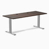Desky Zero Rubberwood Office Desk, Dark Walnut desktop, Gray frame