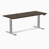 Desky Dual Bamboo Sit Stand Desk, Dark Bamboo desktop, Gray frame