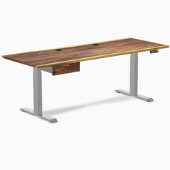 Desky Dual Hardwood Standing Desk With Drawer, Saman desktop, Gray frame