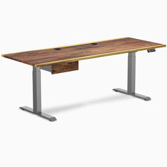 Desky Dual Hardwood Standing Desk With Drawer, Saman desktop, Space Gray frame