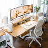 Desky Coilflex Ergonomic Office Chair detail view 4