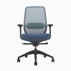 Blue coilflex ergoinomic chair - Desky