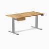 Desky Dual Hardwood Standing Desk With Drawer, Acacia desktop, Gray frame