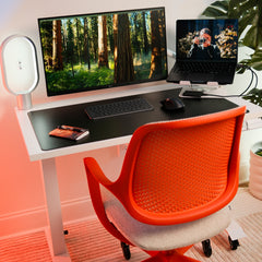 Desky Dual Mini Sit Stand Desk detail view 7