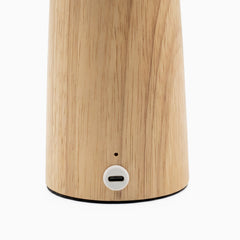Desky mushroom wooden USB-C charging lamp