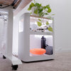 Desky Minimal Open Mobile Pedestal detail view 8