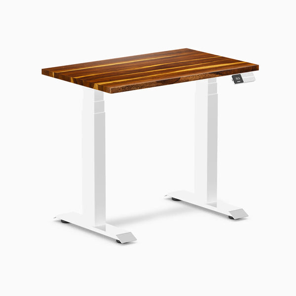 Desky Dual Mini Hardwood Sit Stand Desk, Pheasantwood desktop, White frame