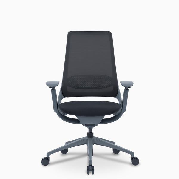 Desky Pulse Supportive Desk Chair back view