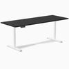 Desky Single Sit Stand Desk, Black desktop, White frame