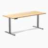 Desky Single Sit Stand Desk, Bamboo desktop, Space Gray frame
