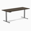 Desky Single Sit Stand Desk, Dark Bamboo desktop, Space Gray frame