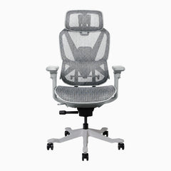 Contourra ergonomic office chair in light grey
