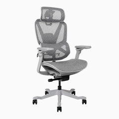 Contourra ergonomic office chair in light grey