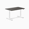 Desky Dual Laminate Sit Stand Desk-Desky®