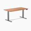 Desky Dual Laminate Sit Stand Desk-Desky®