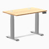 Desky Dual Mini Bamboo Sit Stand Desk, Bamboo desktop, Gray frame