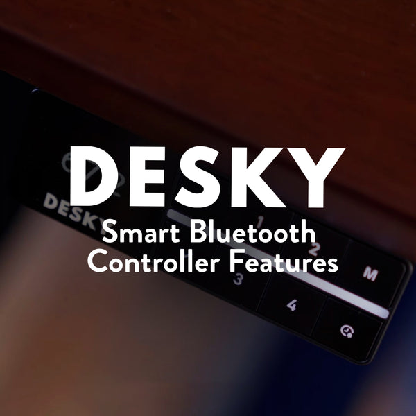 Desky Dual Softwood Sit Stand Desk image 3