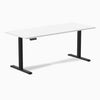Desky Single Sit Stand Desk, White desktop, Black frame