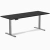 Desky Single Sit Stand Gaming Desk, Black desktop, Space Gray frame