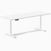 Desky Single Sit Stand Desk, White desktop, White frame